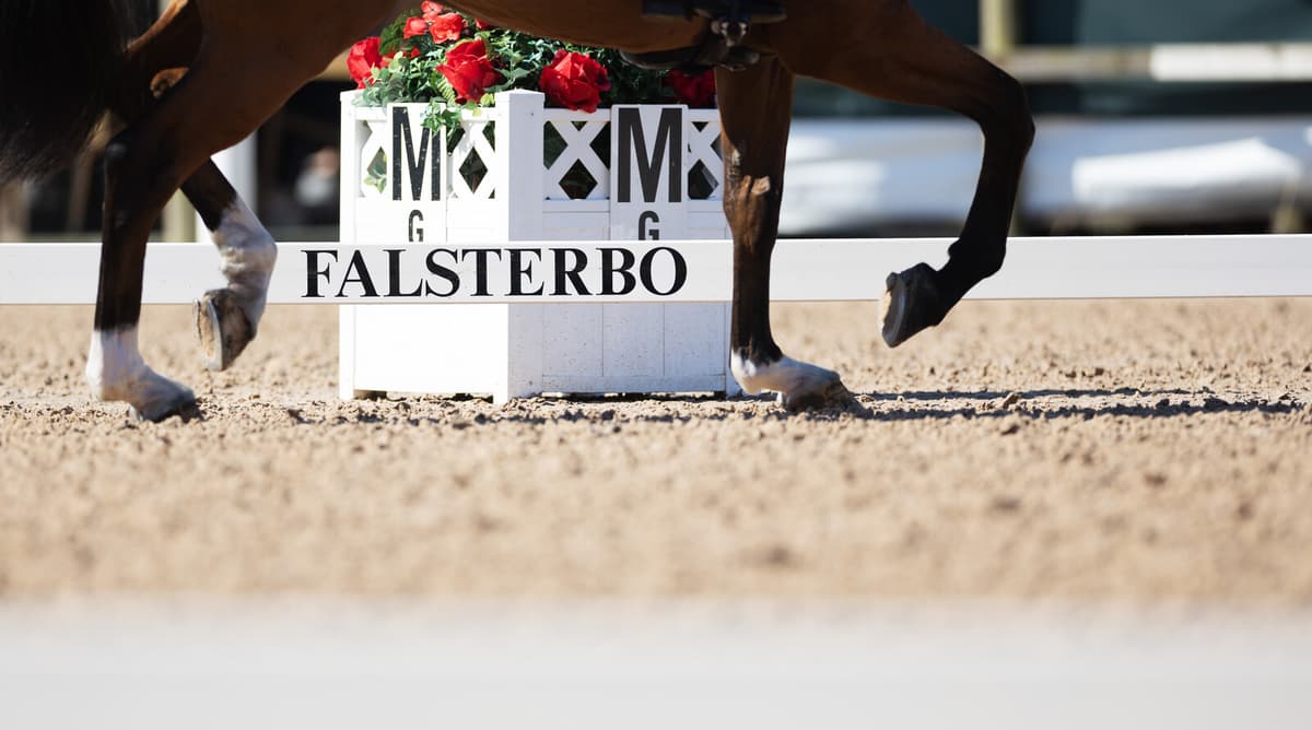 Swedish Equestrian Federation Supports Falsterbo's Decision to End Partnership
