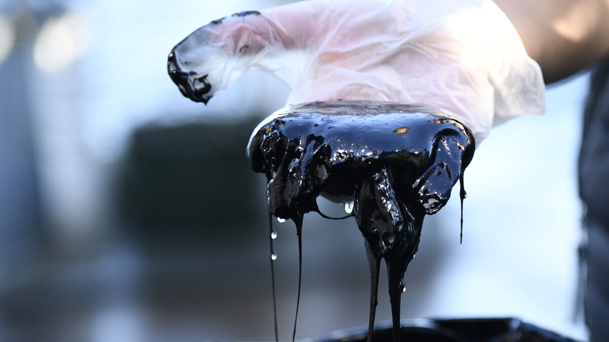 Oil prices rise at opening of international futures trading