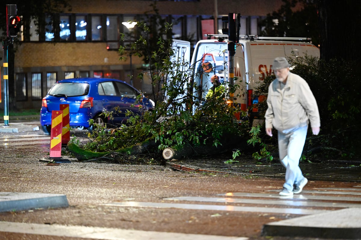 Storm Hits Stockholm: Thousands Face Power Outages