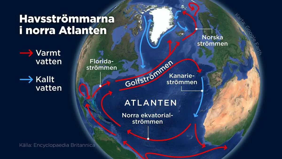 Scientists remain deeply divided over Gulf Stream collapse risk