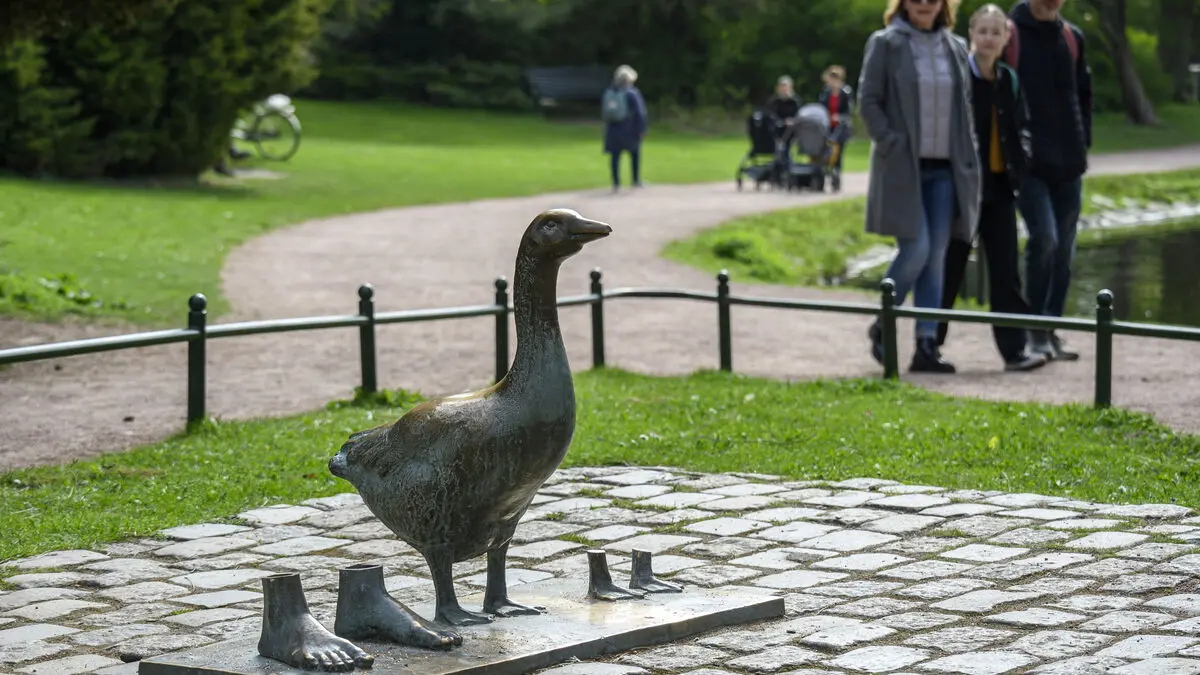 Malmö's goose artwork to be resurrected