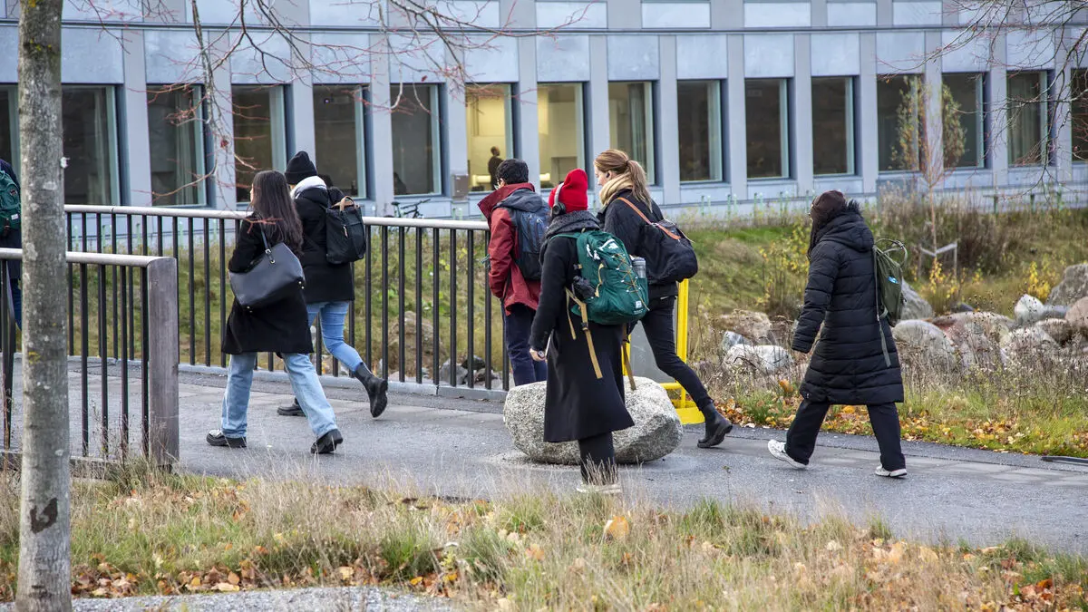 Many more women are studying AI