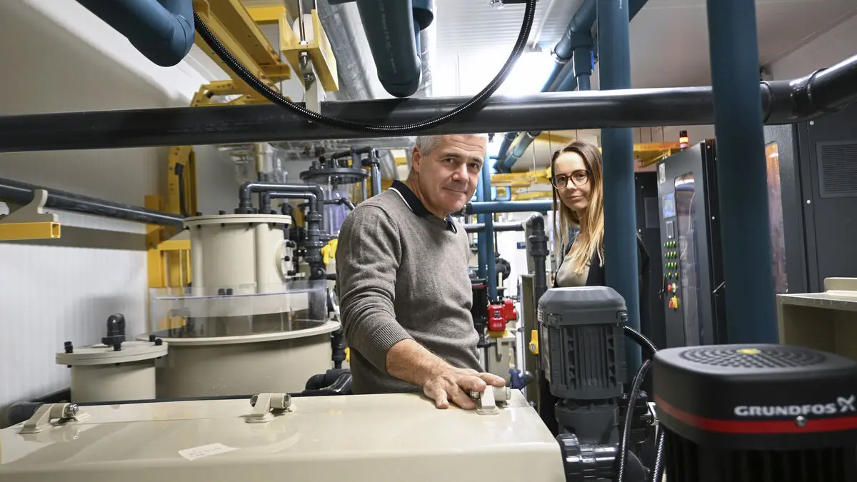 New Lab Aims to Save Baltic Sea's Crisis-Hit Cod Population