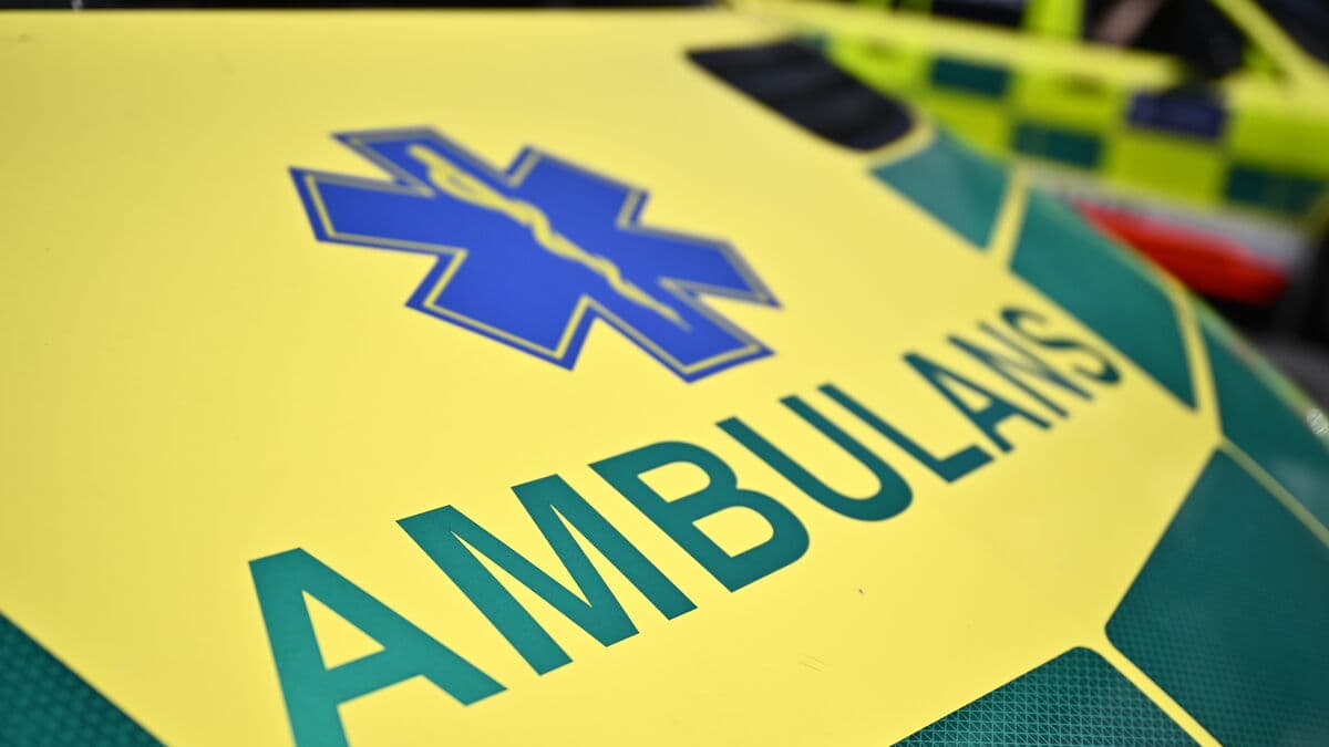 Elderly Man Dies After Car Crash Into Tree Near Växjö