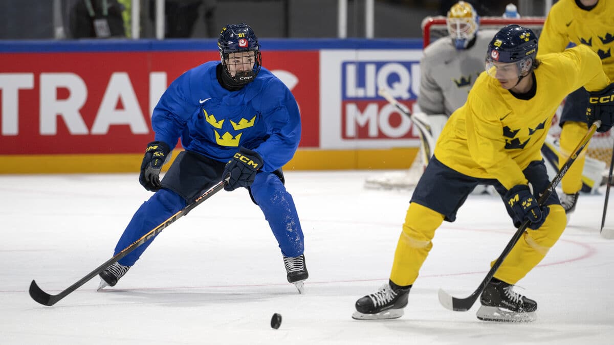 Hallam on the NHL situation: We will check the situation