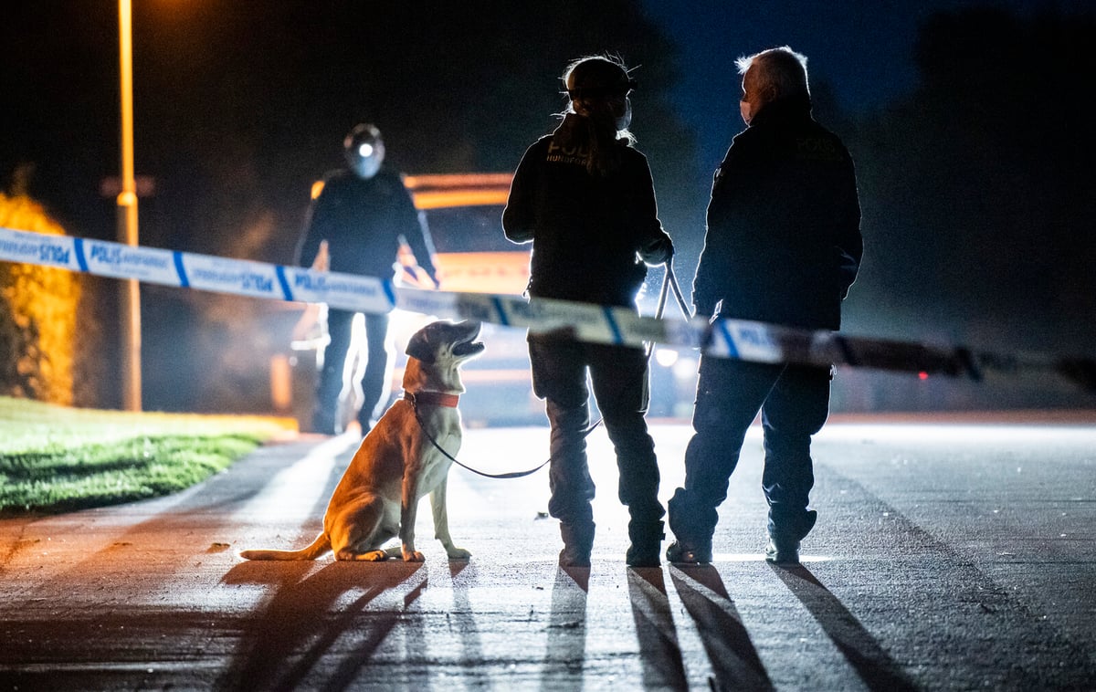 Four Teens Face Court for Murder and Aiding in Skurup Killing