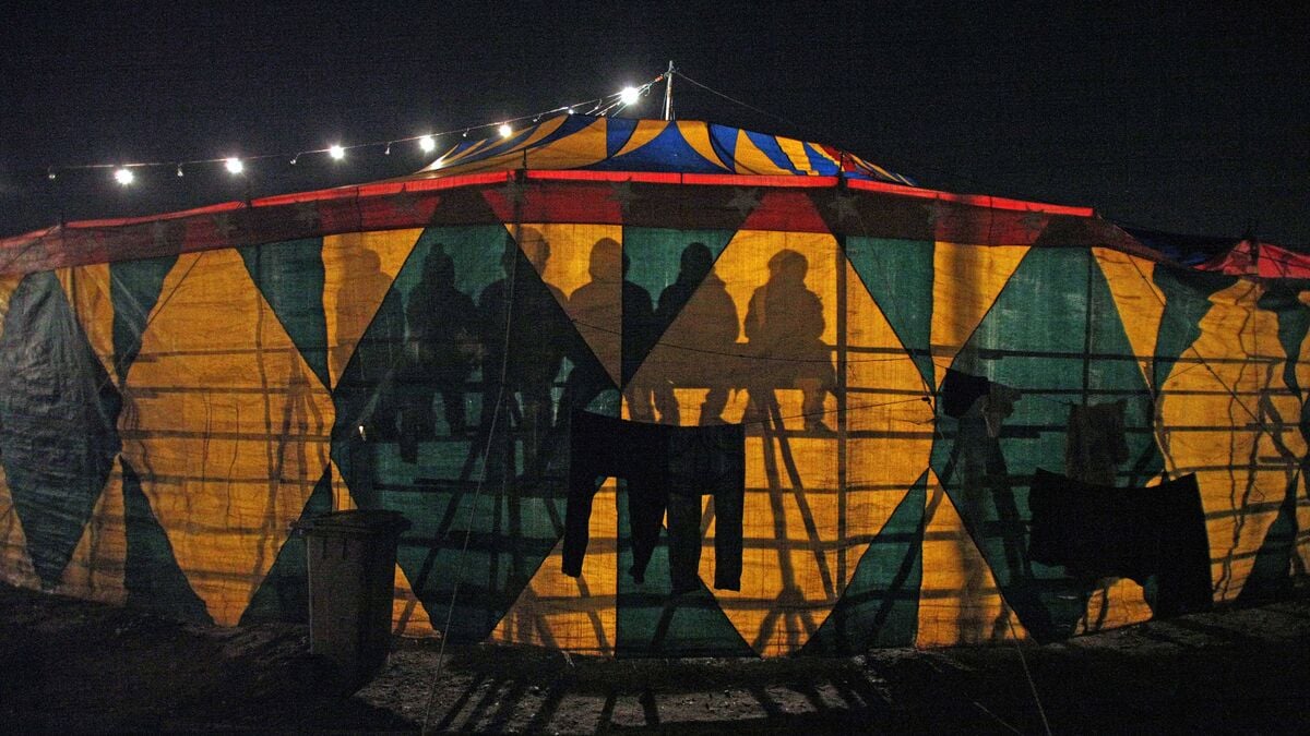 Acrobat Dies in Fall During Circus Show in Germany