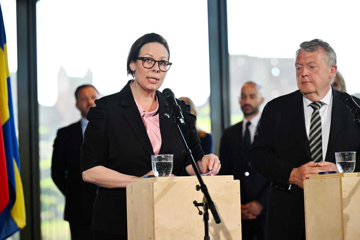 Nordic-Baltic Ministers Emphasize Strong Support for Ukraine