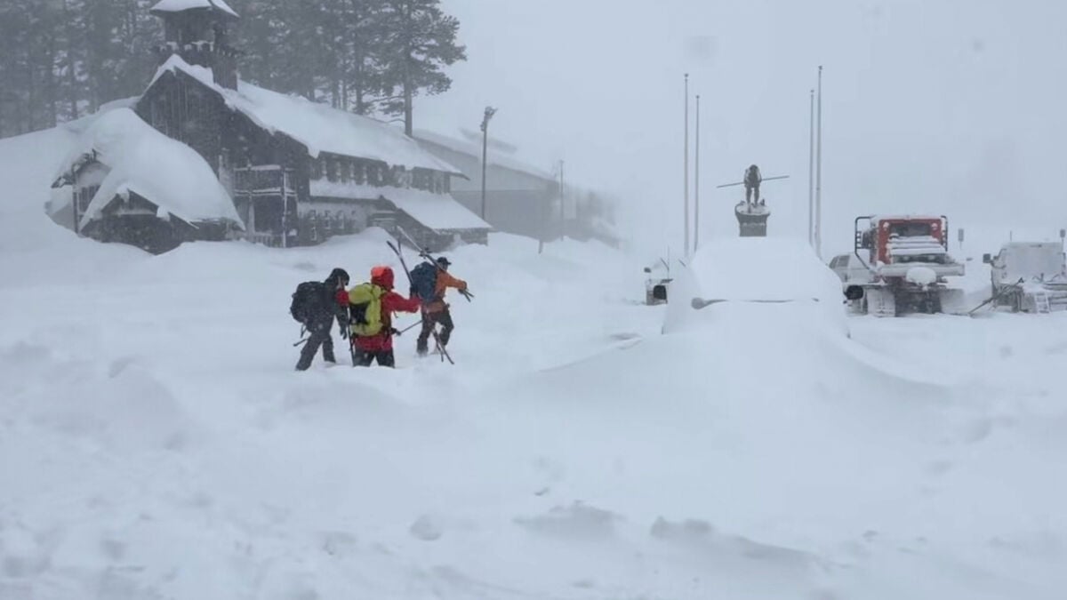 Eight of nine skiers found dead after avalanche in Northern California