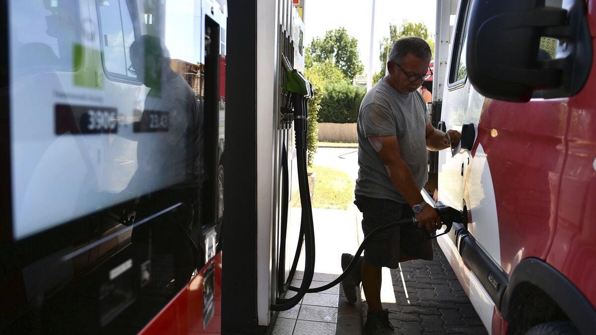 More expensive gasoline for foreign cars not OK in the EU
