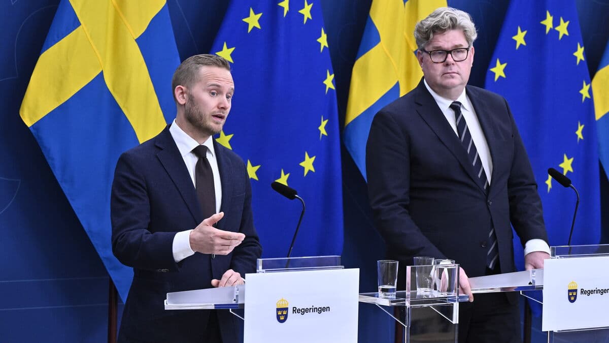 Want to be able to take the citizenship of gang leaders