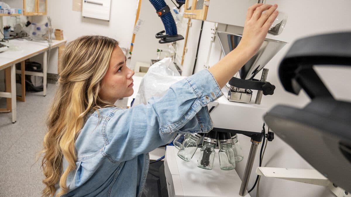 Here carbon dioxide can be stored in Swedish soil