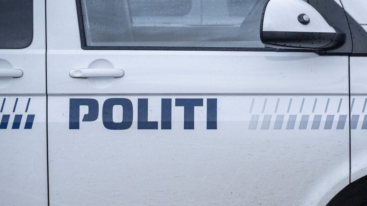 Man extradited from Germany and detained over anti-tank attack on sleeping family in Denmark
