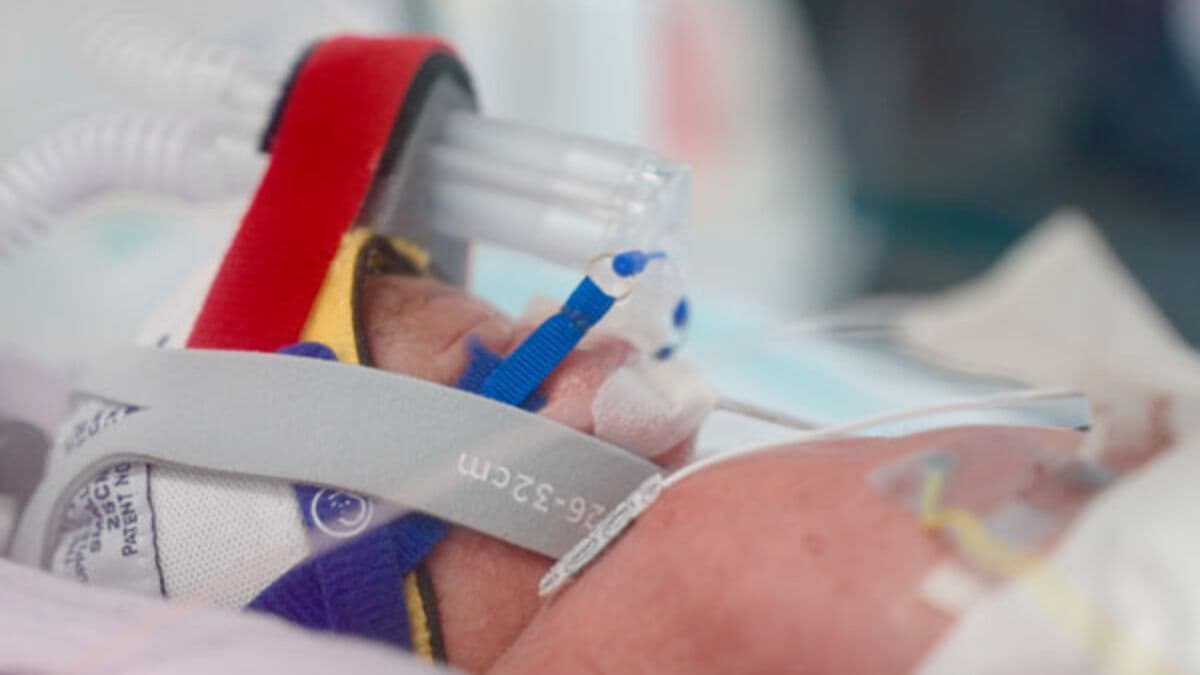 Identical quadruplets born in Australia - family now has eight children