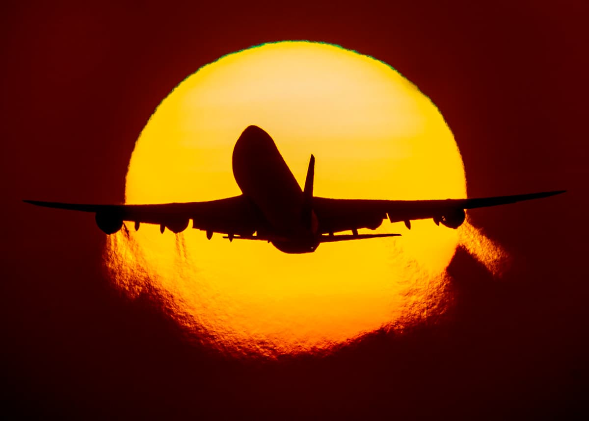 Air Travel Demand Rises in July with More Domestic Flights