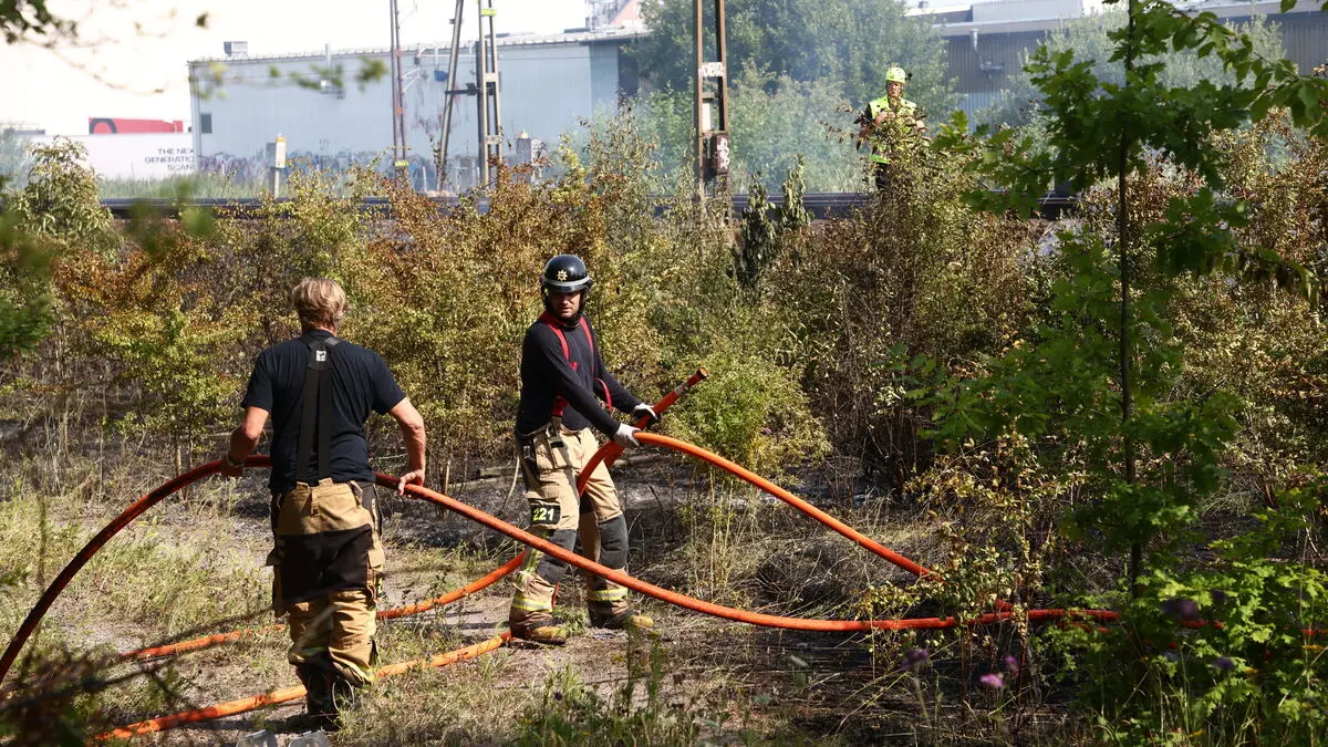 SMHI warns of high risk of grass fires in parts of Sweden