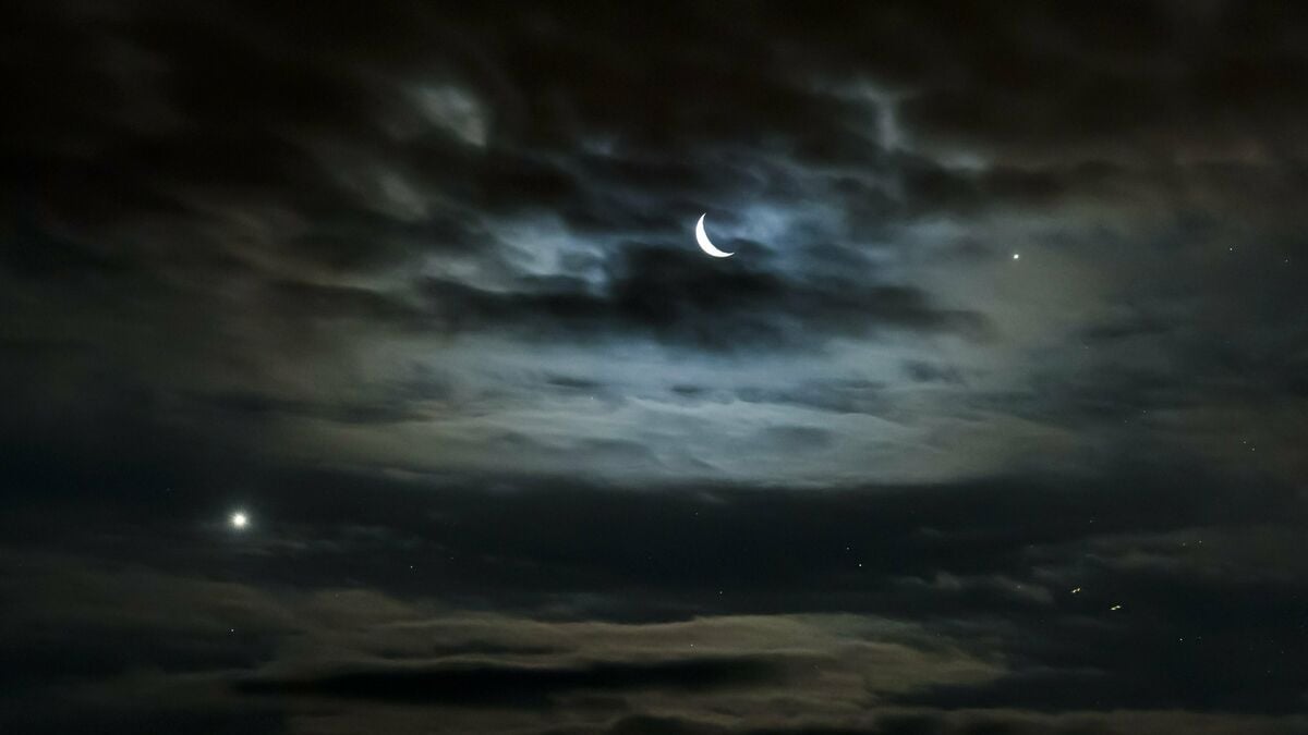 Watch out, Jupiter is clearly visible tonight