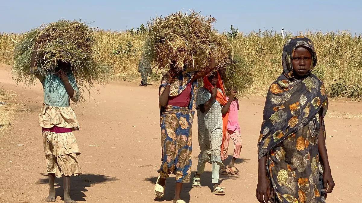 RSF: Militiamen who posted murder on Tiktok arrested