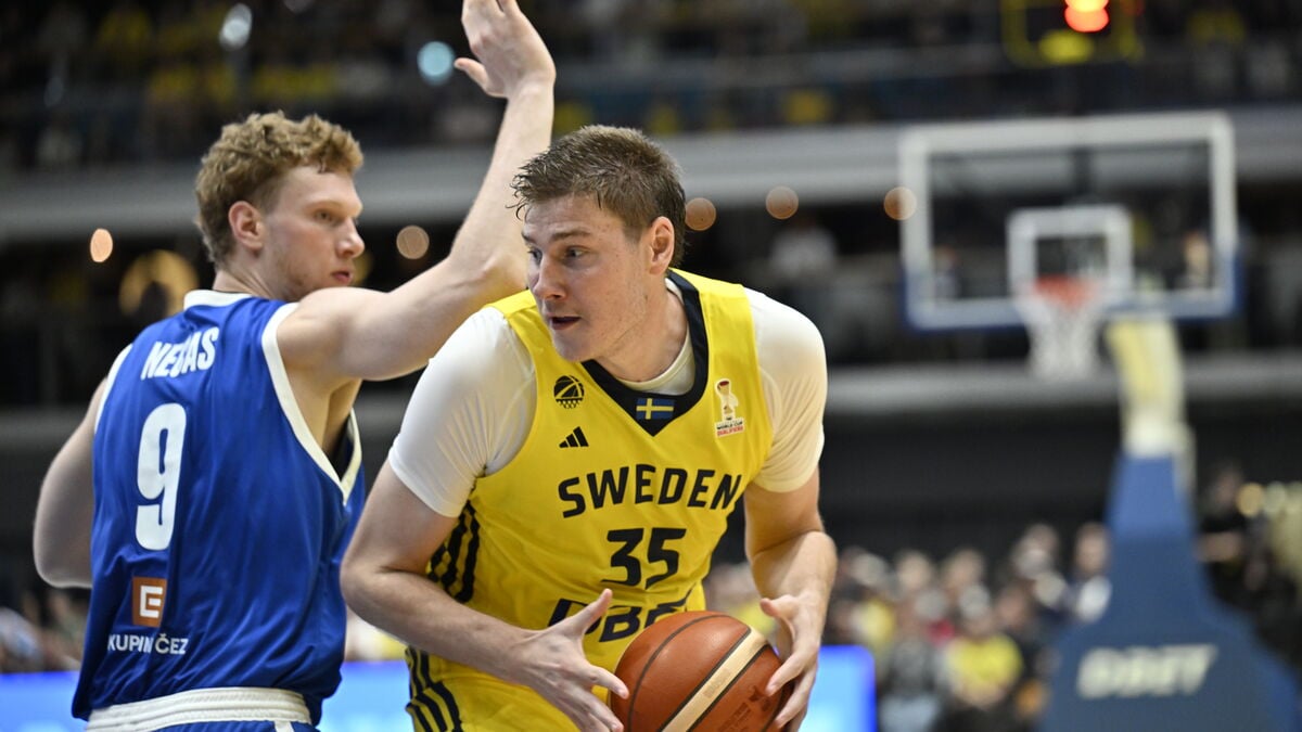 Sweden’s Simon Birgander relishing France test against Victor Wembanyama