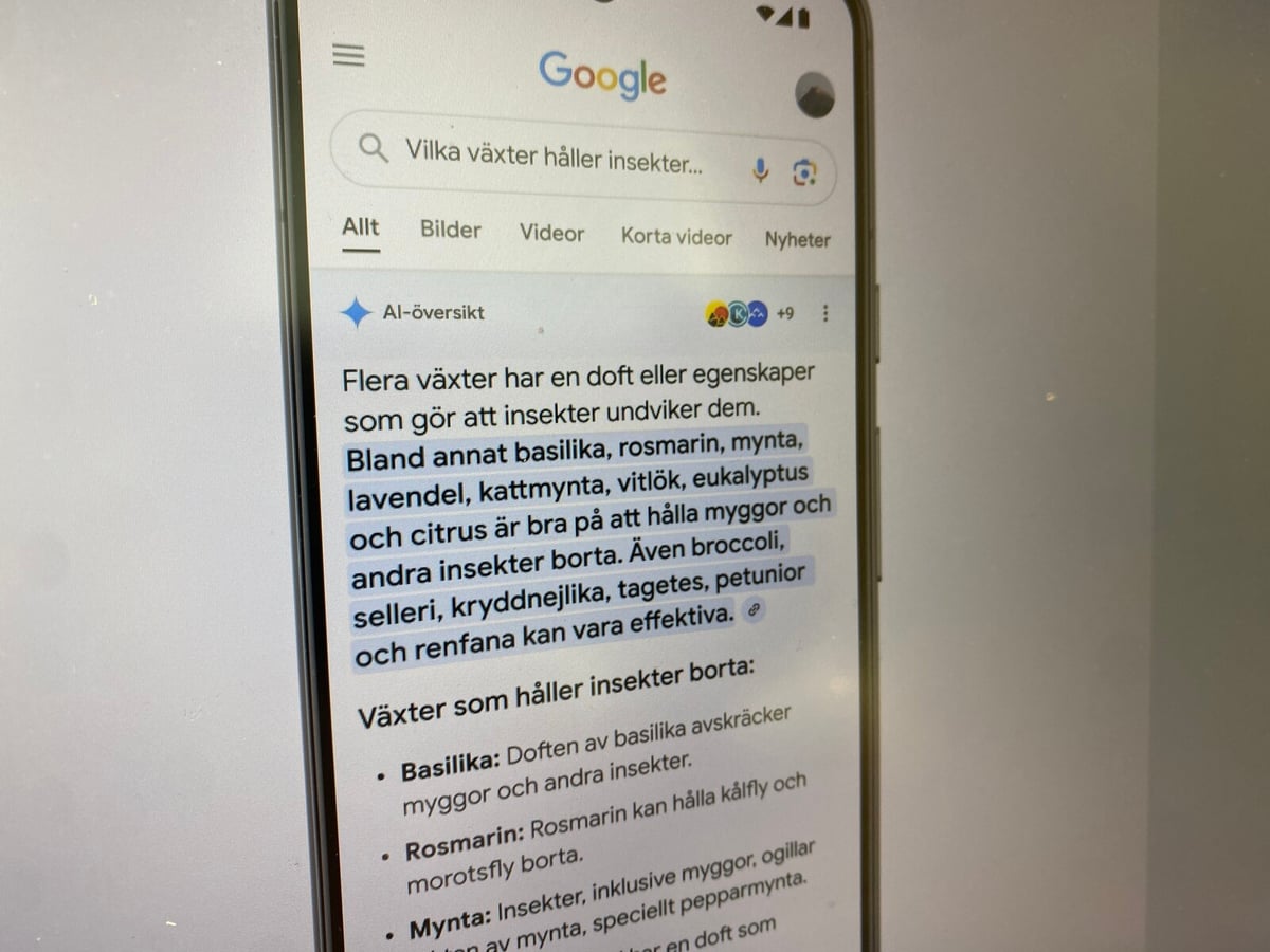 Google Integrates AI for Enhanced Search Results