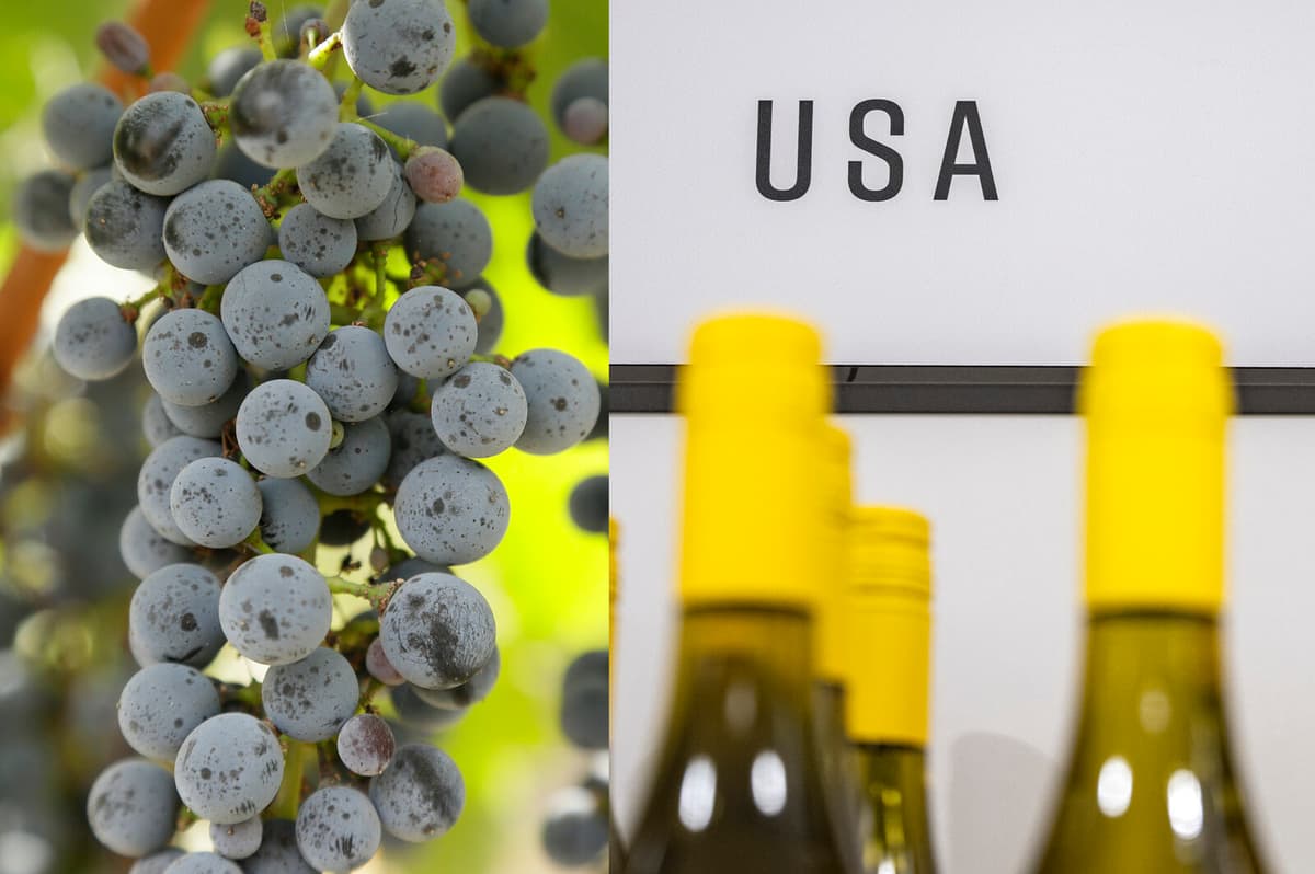 Systembolaget Sees Continued Decline in American Product Sales