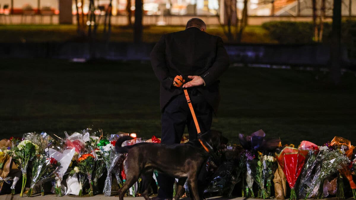 Suspect in Brown shooting and MIT murders dead