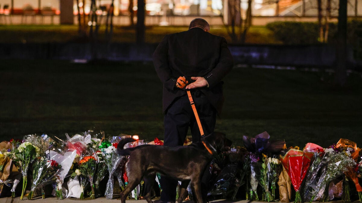Suspect in Brown shooting and MIT murders dead