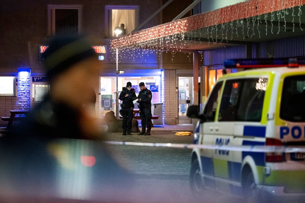 Life Sentence for 15-Year-Old's Murder in Skogås Confirmed