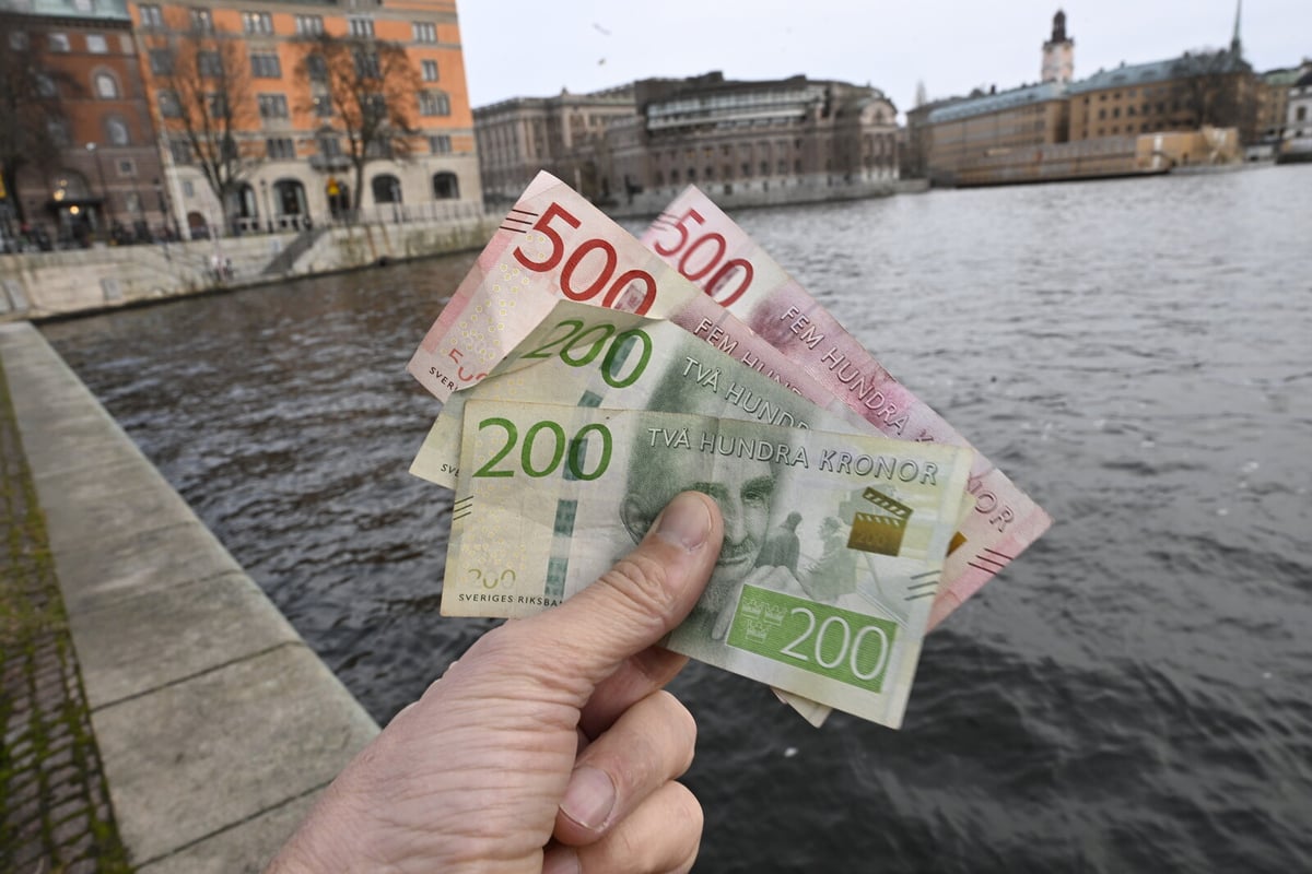 Sweden Democrats Block Extra Child Allowance, Social Democrats React