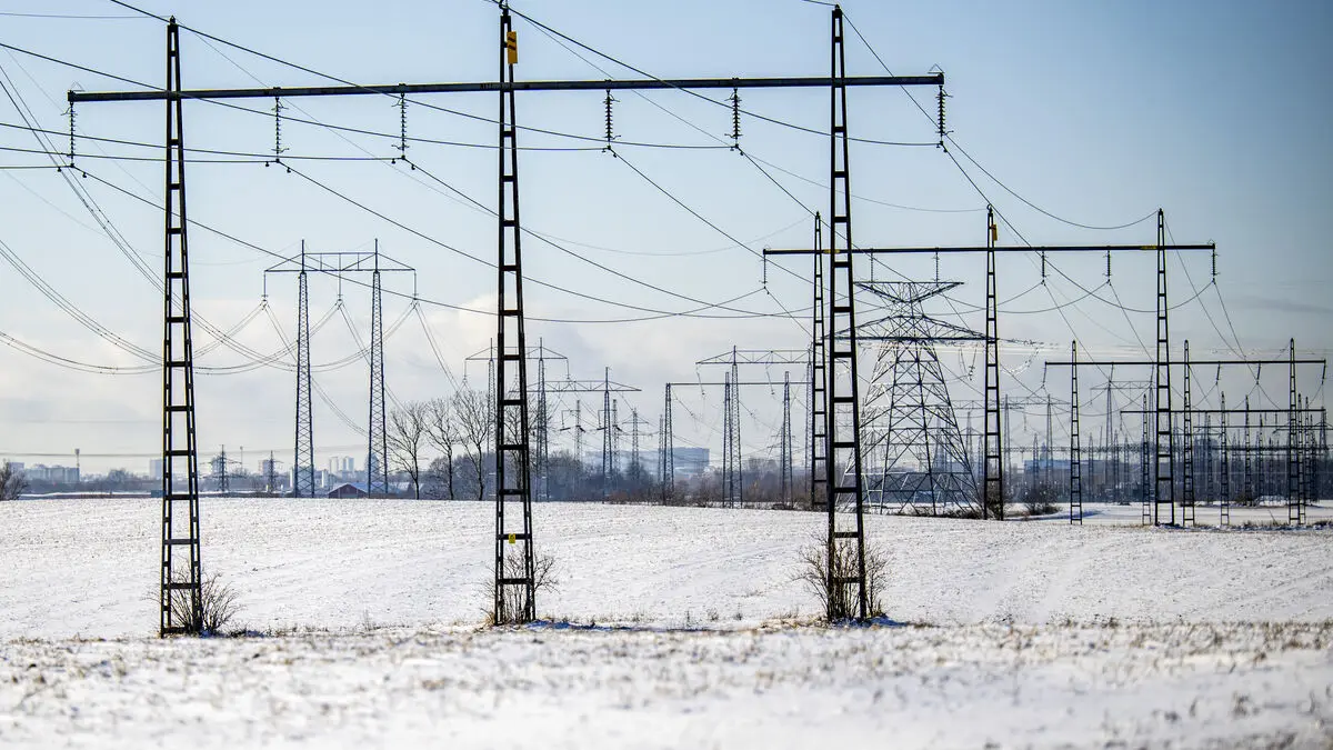 Expert: High Swedish electricity prices saved the electricity system