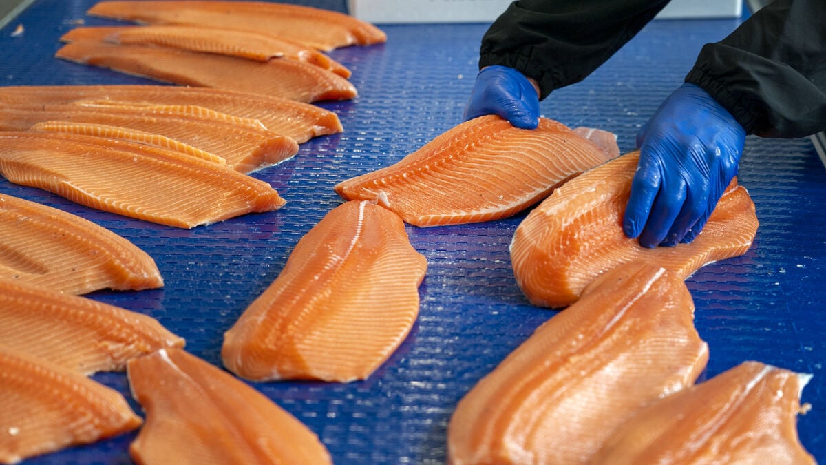 Fish, oil and gas boost Norway’s trade surplus to 62 billion kroner in June