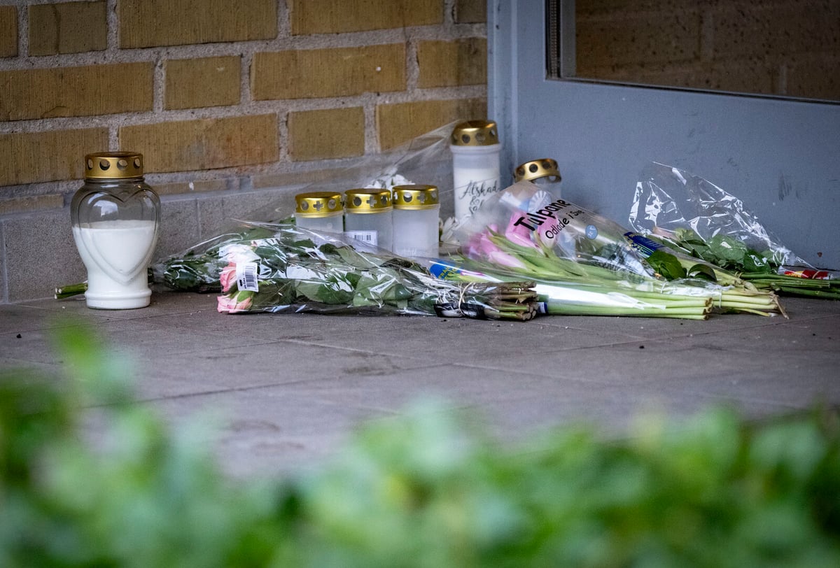 Teen Sentenced to Six Years for Accidental Shooting of Friends in Malmö