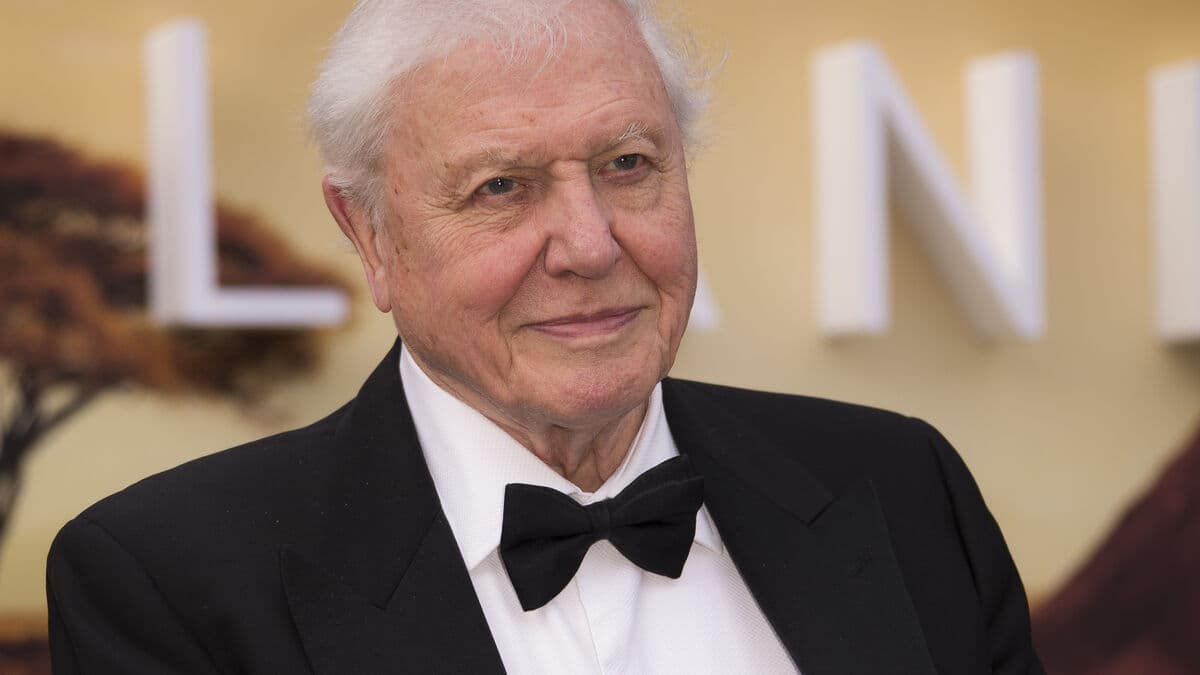 David Attenborough 100 years old - Overwhelmed