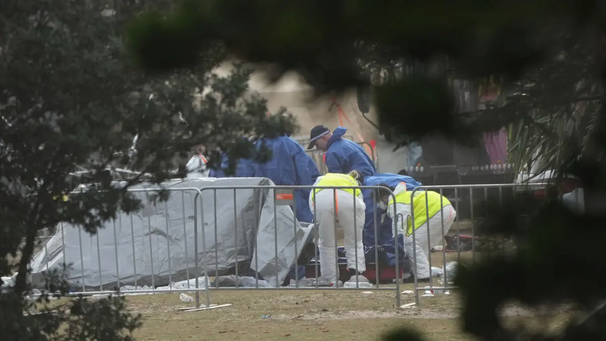 Here are the suspected Sydney shooters