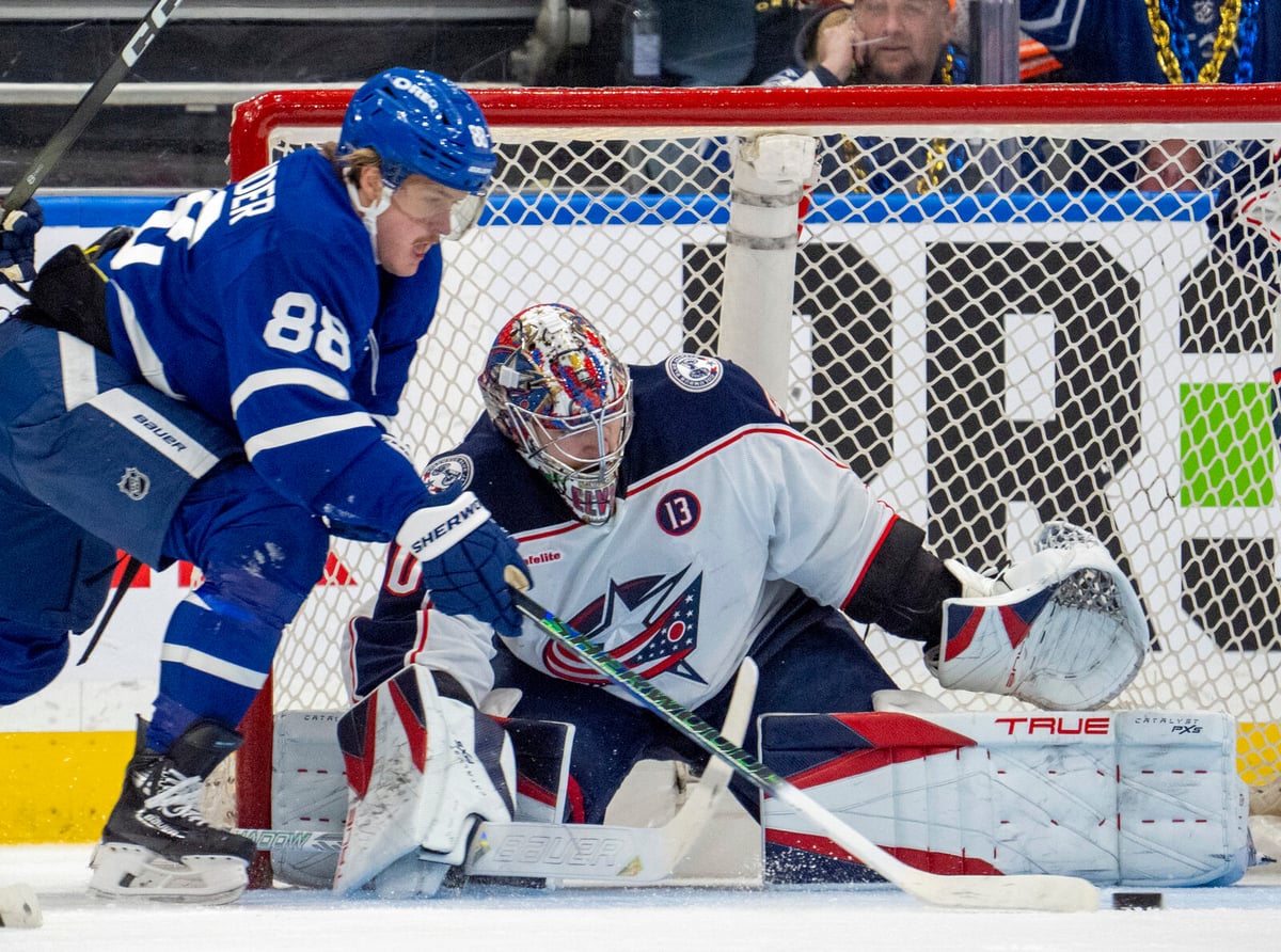 Nylander's Two Goals Propel Toronto to Victory Over Columbus