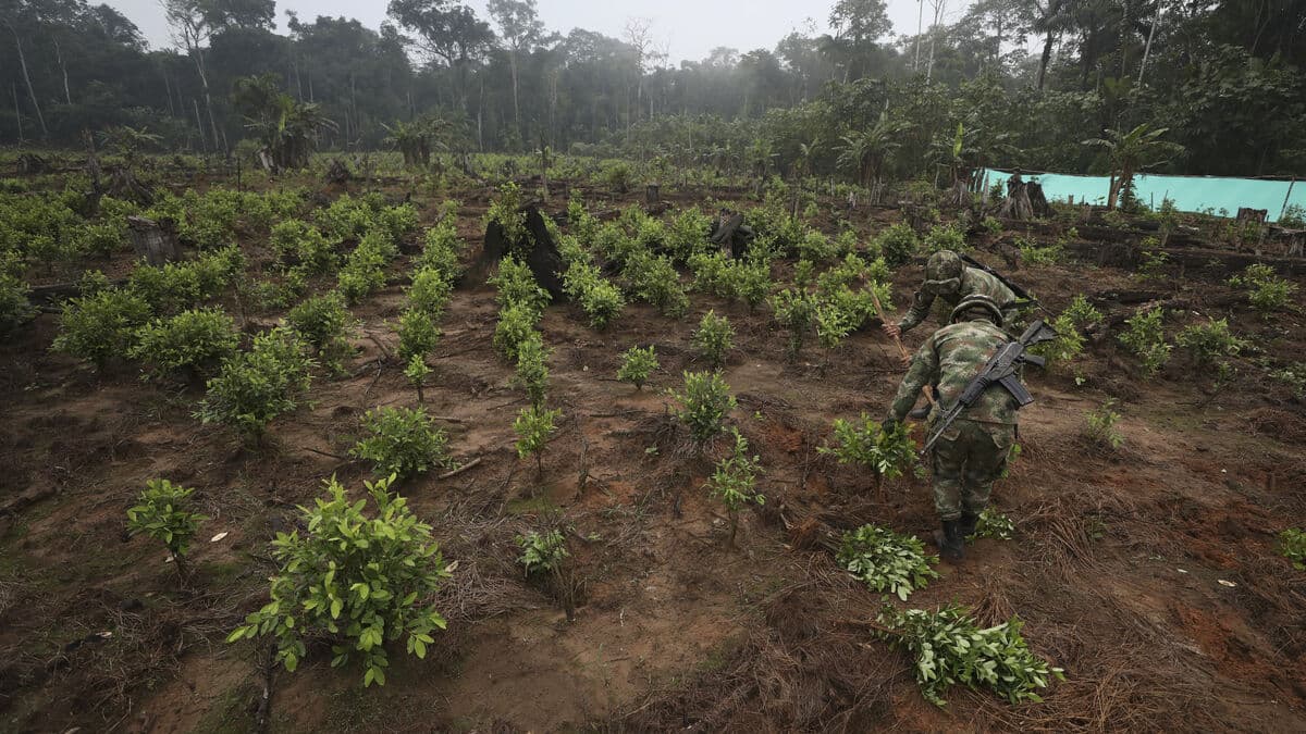 Rival leftist guerrillas kill at least 27 in Colombia's Amazon