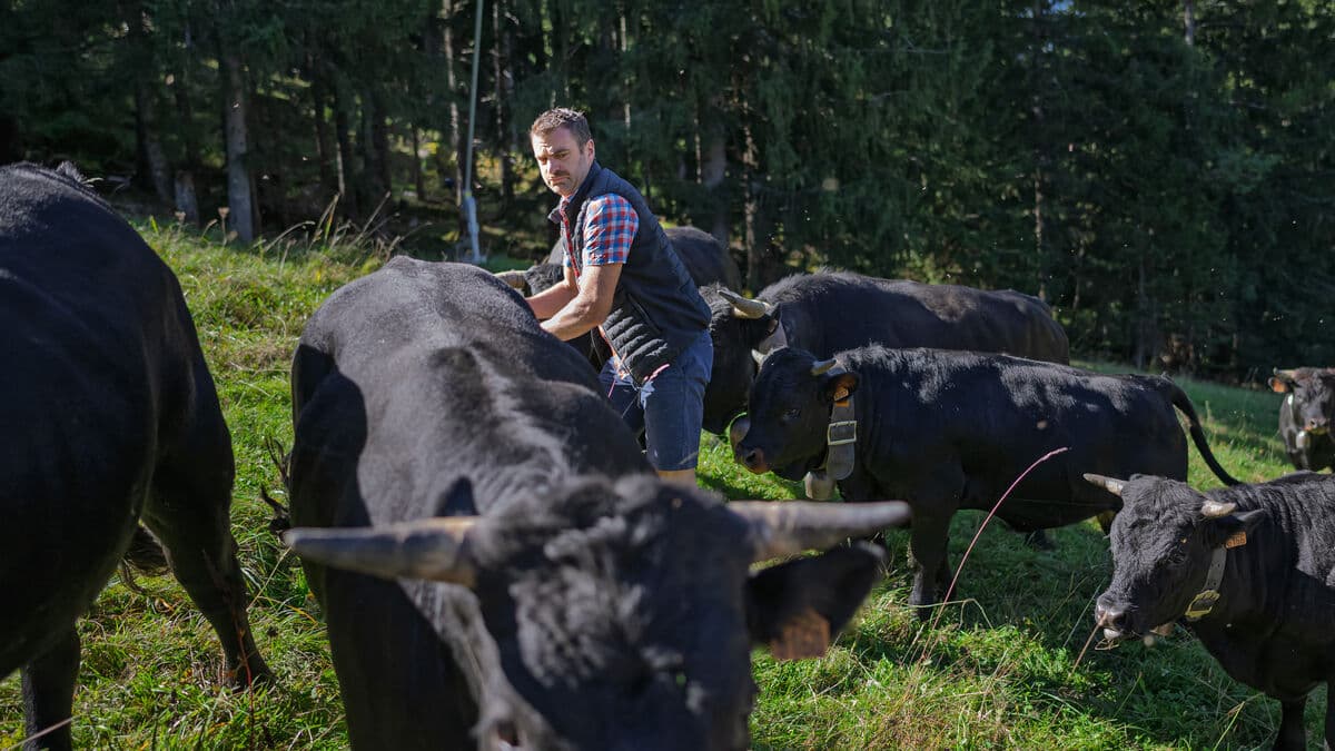 Historic ski resort prepares for warmer weather