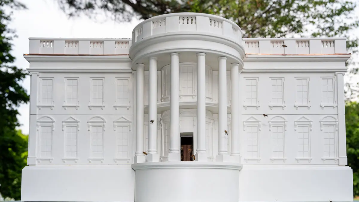 Bi-(di)plomatism when King Charles meets Trump