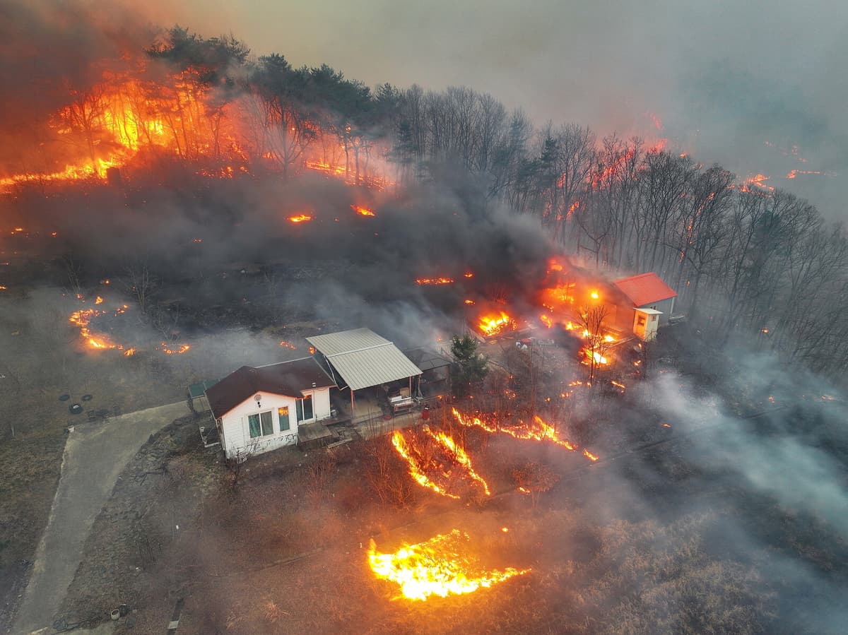 Grave Cleanup Sparks South Korea's Largest Forest Fire