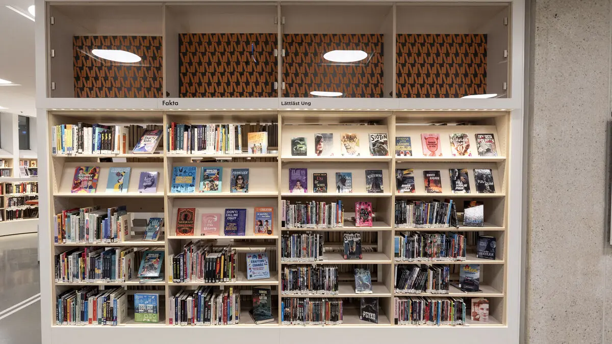 Two-thirds of Swedes reject AI-generated books