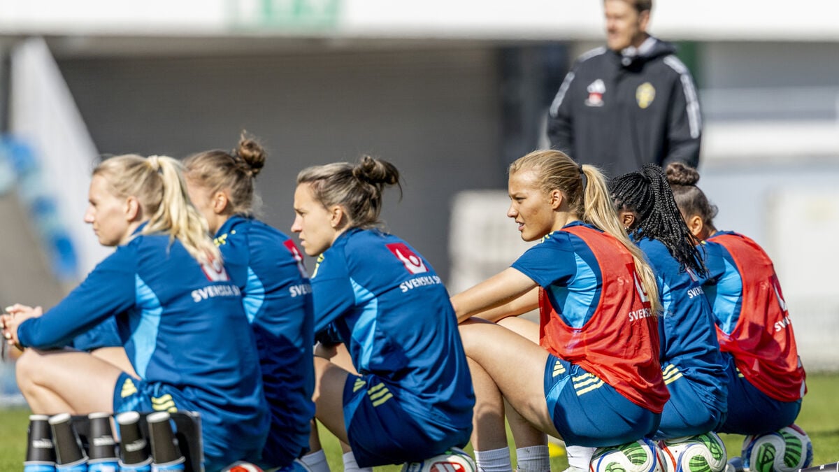 Guide: Must-play match after the shock loss, Sweden-Serbia World Cup qualifier