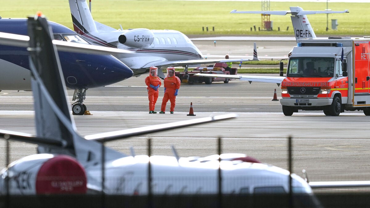 Flight attendant in the Netherlands not infected with hantavirus