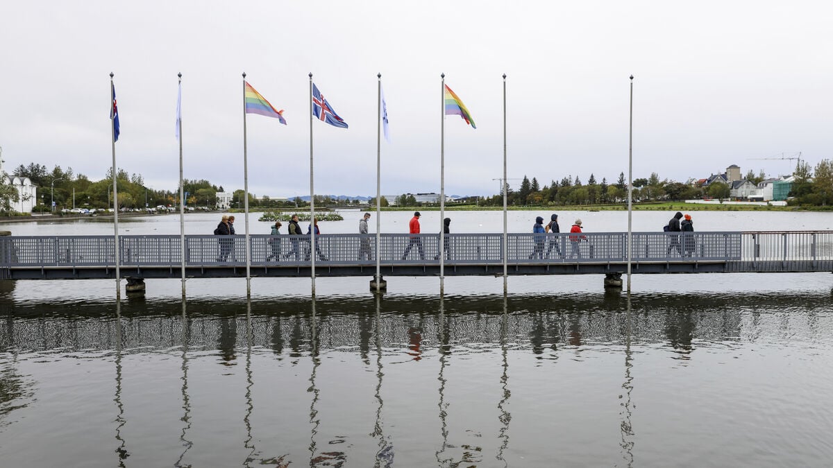 Iceland wants August referendum on resuming EU membership talks