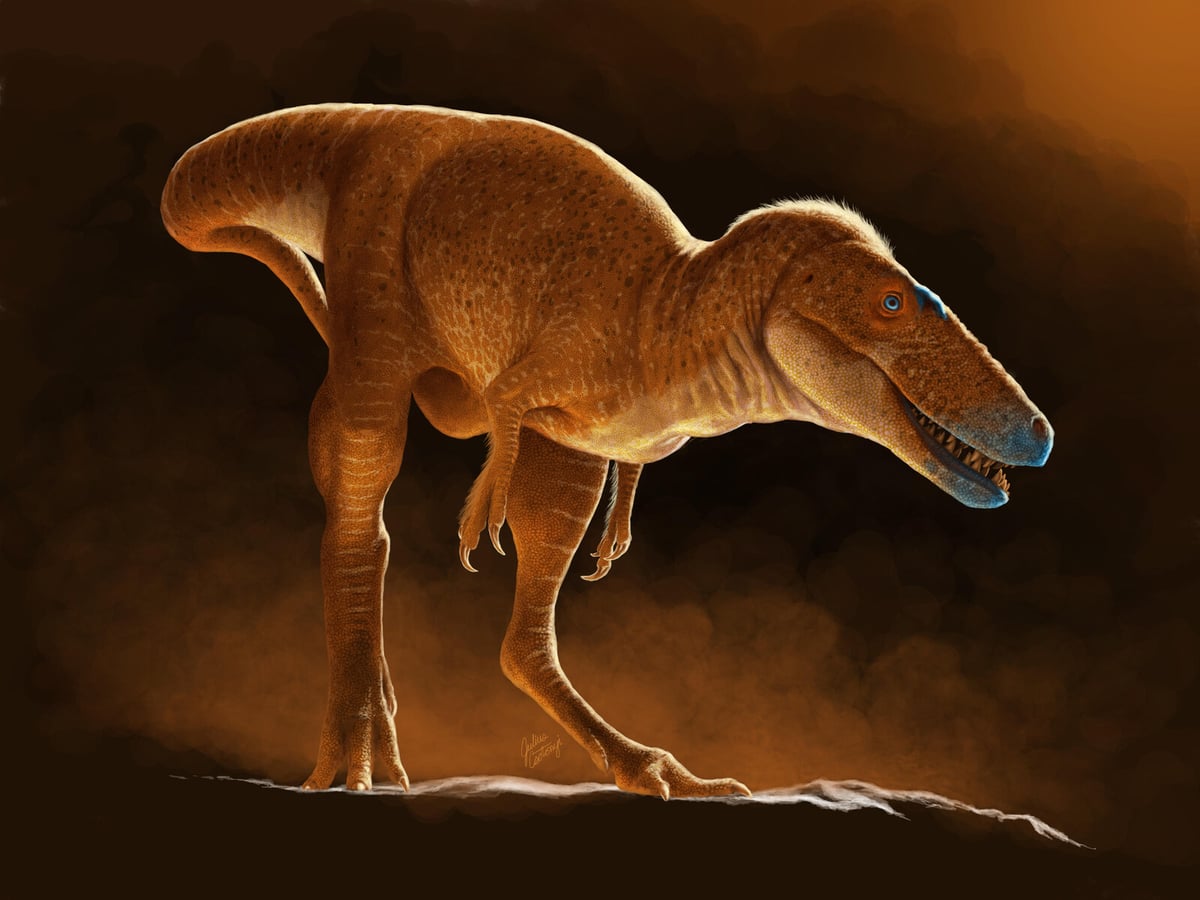 Newly Found Dinosaur Species Sheds Light on T-Rex Evolution