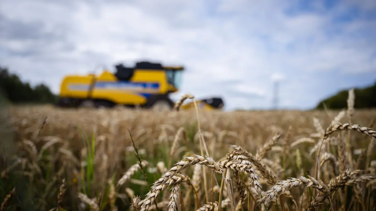 Good harvest boosts Lantmännen - dividend increased