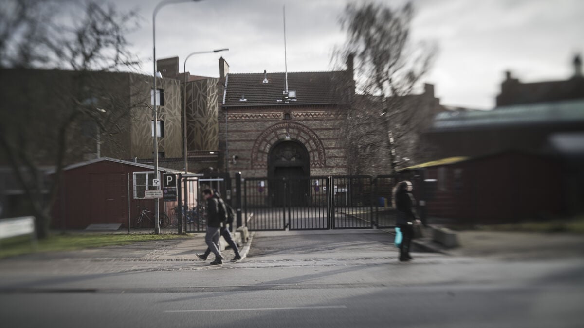 Took his brother's place behind bars – sentenced to prison