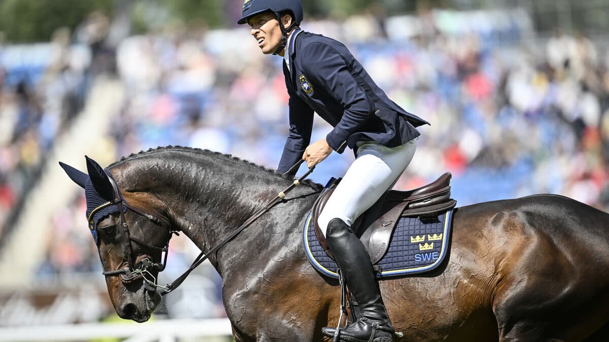Sweden reach World Championship show jumping team final, Peder Fredricson says it is wide open