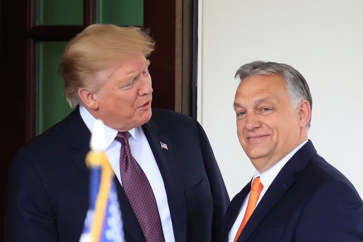 Trump Discusses Ukraine with Hungary's Orbán Amid EU Membership Debate