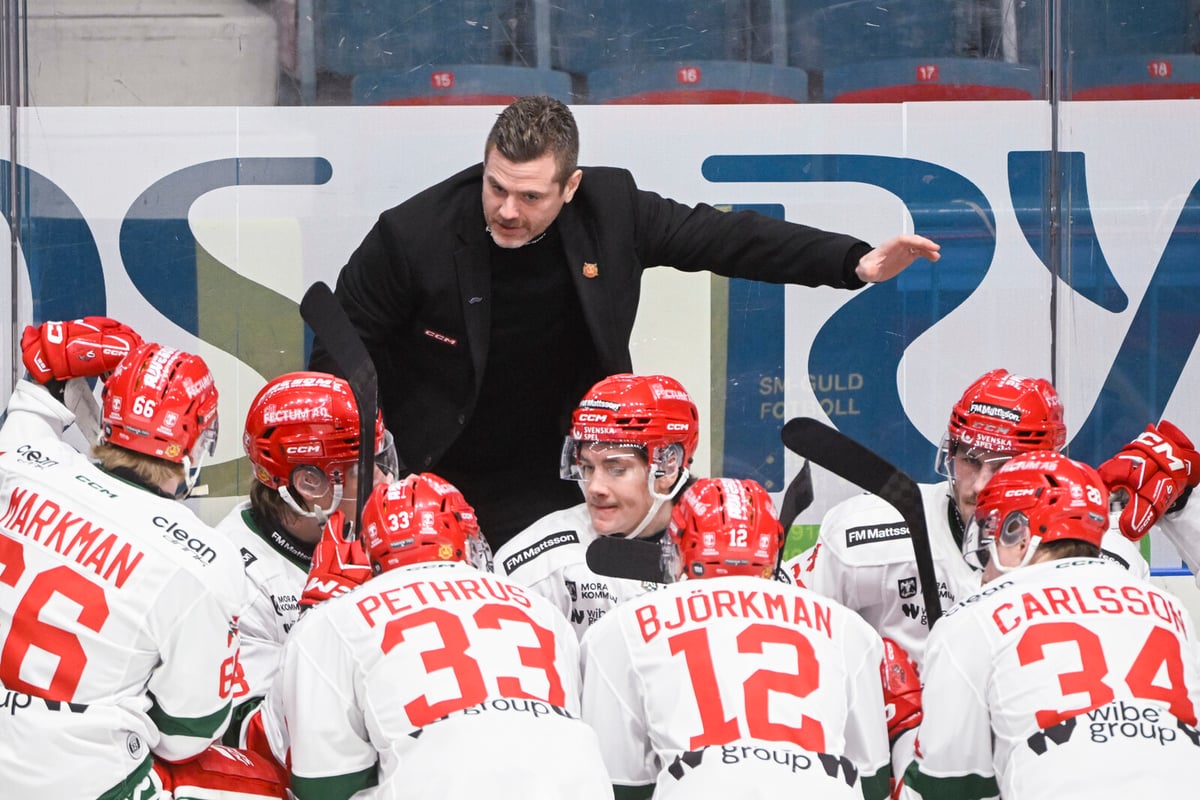 Daniel Hermansson Named Skellefteå AIK's New Head Coach