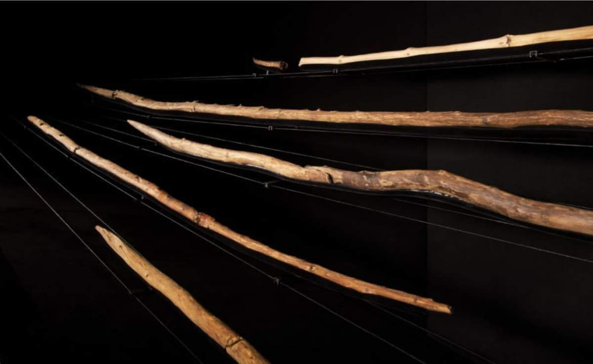 Neanderthal Spears: World's Oldest Weapons Misdated by 100,000 Years